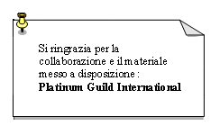 Casella di testo: Si ringrazia per la collaborazione e il materiale  messo a disposizione :  Platinum Guild International
